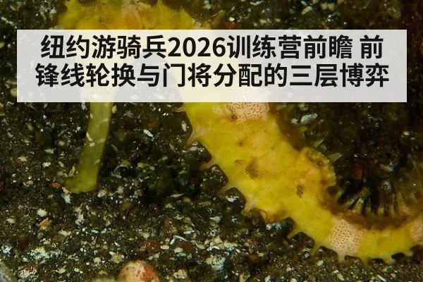 纽约游骑兵2026训练营前瞻 前锋线轮换与门将分配的三层博弈
